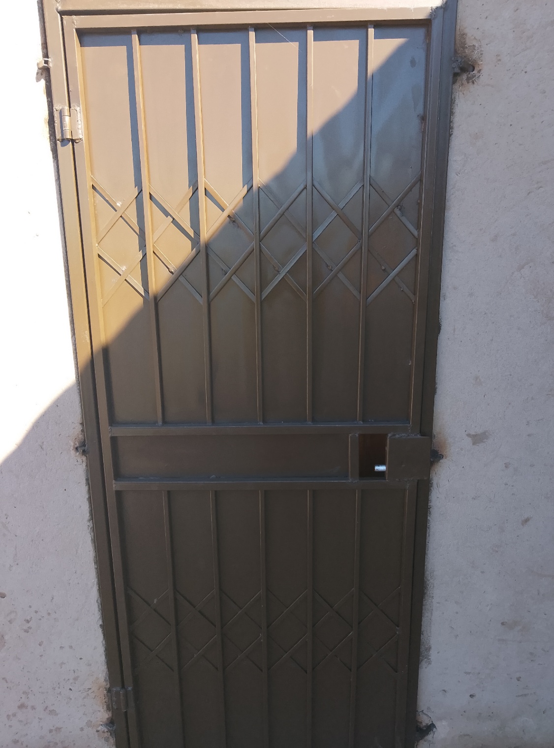 Steel door Buckler 