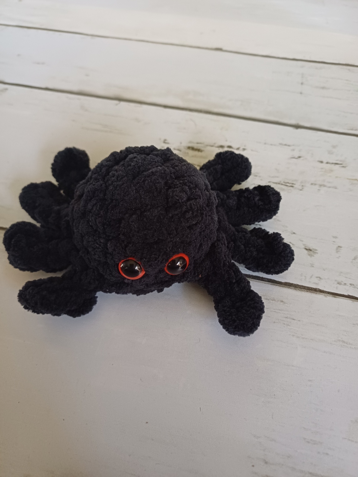Fluffy Spider